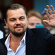 Illustration for article titled Leonardo DiCaprio Pledges $5 Million to Help Save the Amazon